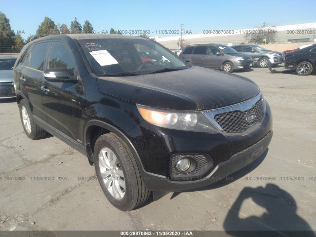 KIA SORENTO 2011 5xykuda23bg003363