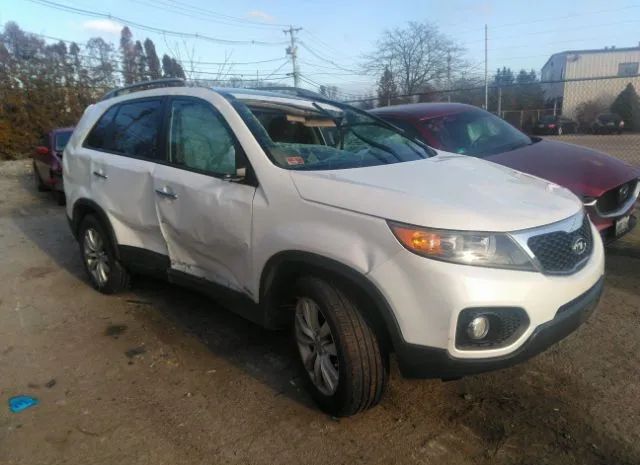 KIA SORENTO 2011 5xykuda23bg009017