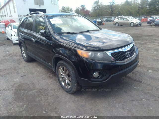 KIA SORENTO 2011 5xykuda23bg036749