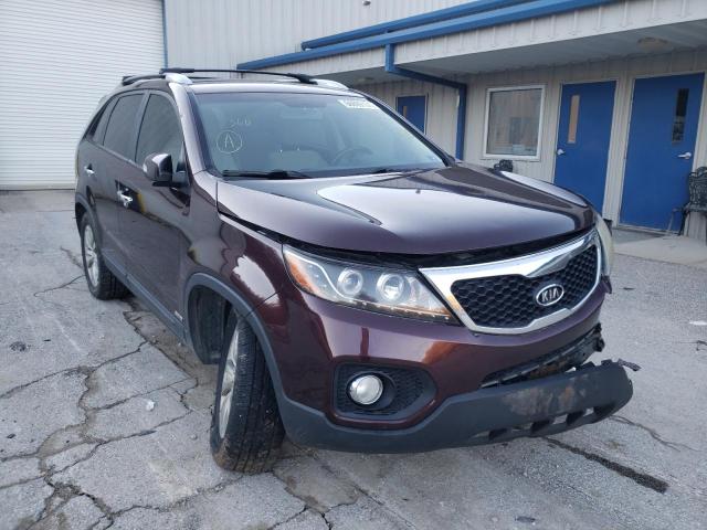 KIA SORENTO EX 2011 5xykuda23bg042924