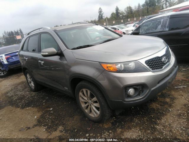 KIA SORENTO 2011 5xykuda23bg057956