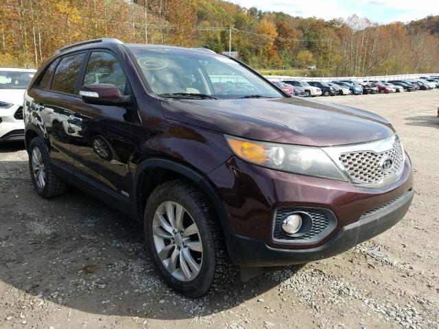 KIA SORENTO EX 2011 5xykuda23bg087832