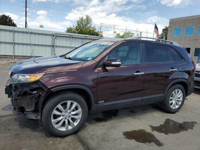 KIA SORENTO 2011 5xykuda23bg135135