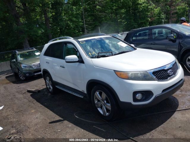 KIA SORENTO 2012 5xykuda23cg212829