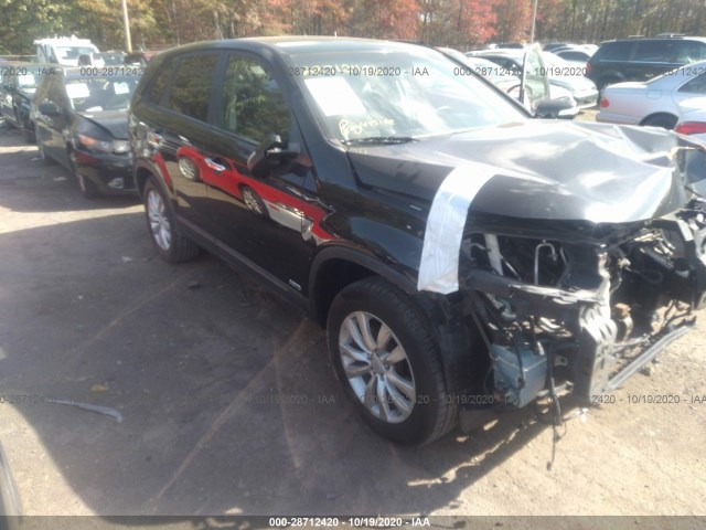 KIA SORENTO 2011 5xykuda24bg005994