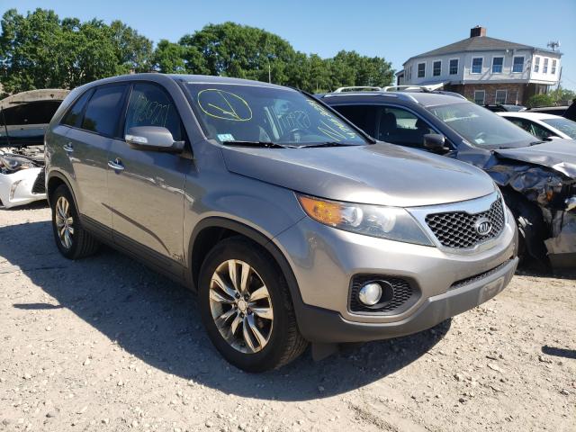 KIA SORENTO EX 2011 5xykuda24bg030488