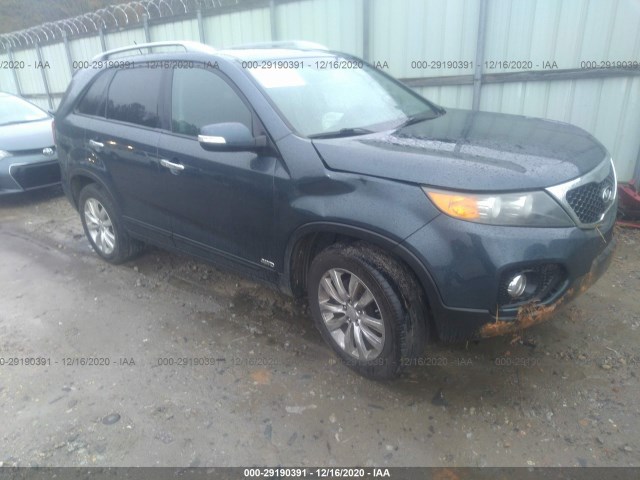 KIA SORENTO 2011 5xykuda24bg035075