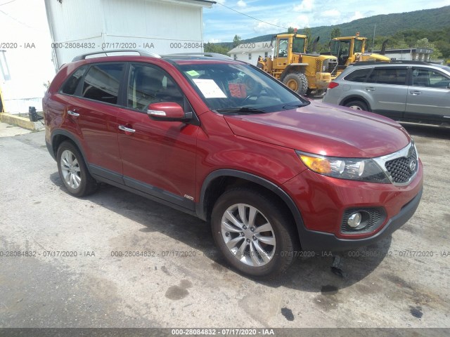 KIA SORENTO 2011 5xykuda24bg039398