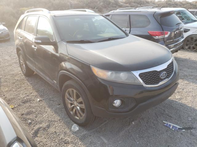 KIA SORENTO EX 2011 5xykuda24bg057593