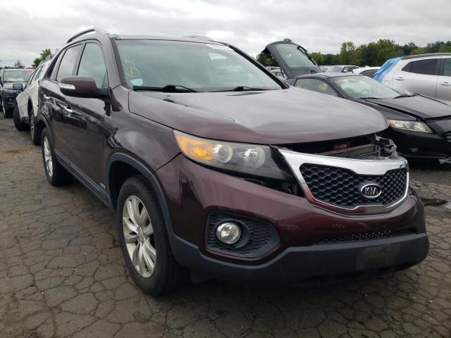 KIA SORENTO EX 2011 5xykuda24bg058047