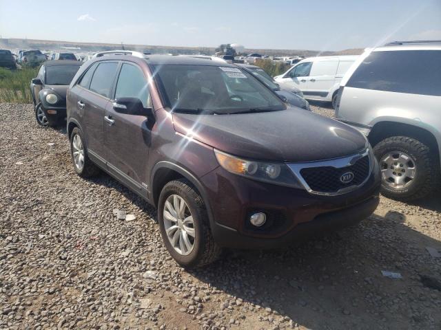 KIA SORENTO EX 2011 5xykuda24bg064057