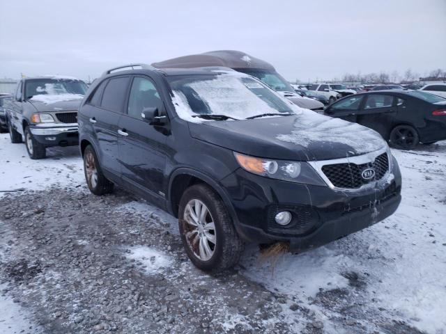 KIA SORENTO EX 2011 5xykuda24bg064818