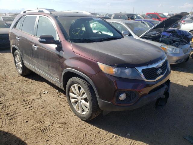 KIA SORENTO EX 2011 5xykuda24bg091730