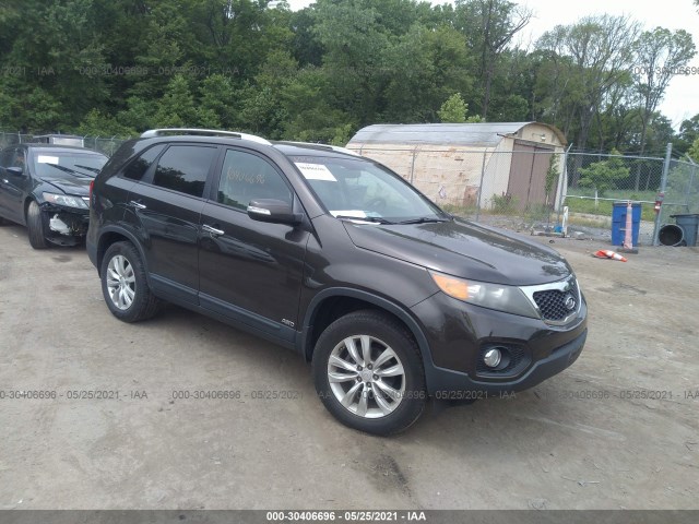 KIA SORENTO 2011 5xykuda24bg095664