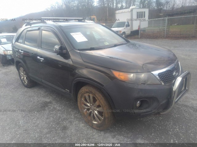 KIA SORENTO 2011 5xykuda24bg150257