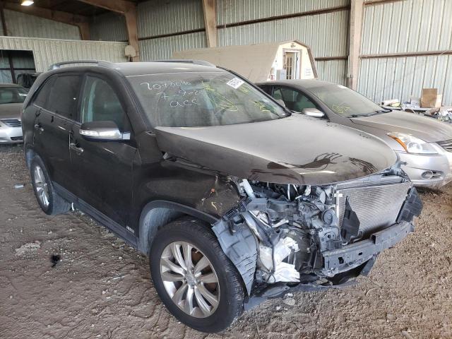 KIA SORENTO EX 2011 5xykuda24bg161131