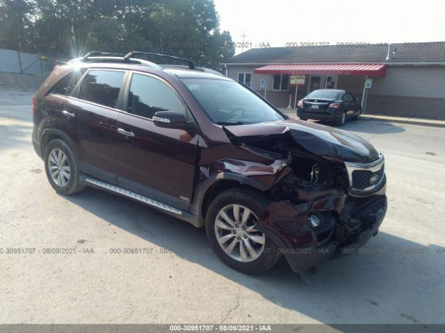 KIA SORENTO 2011 5xykuda24bg178320