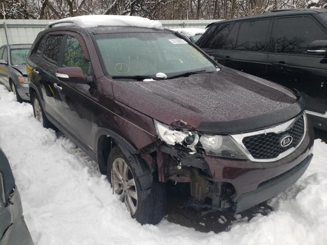 KIA SORENTO EX 2011 5xykuda24bg178723