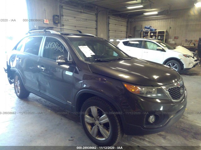 KIA SORENTO 2012 5xykuda24cg210264