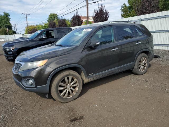 KIA SORENTO EX 2011 5xykuda25bg098329