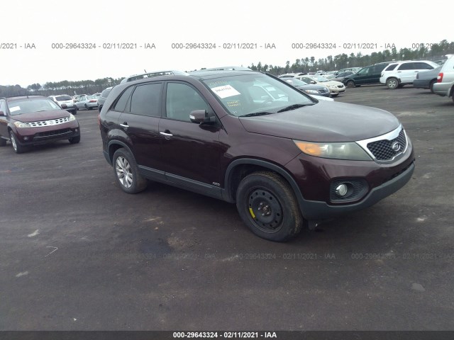 KIA SORENTO 2011 5xykuda25bg103979