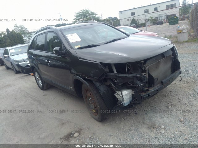 KIA SORENTO 2011 5xykuda25bg107031