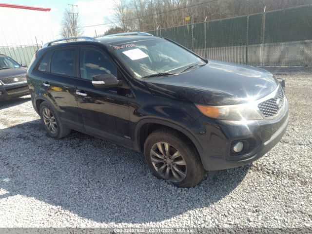 KIA SORENTO 2011 5xykuda25bg117672