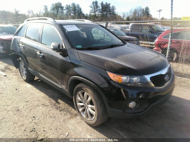 KIA SORENTO 2011 5xykuda25bg134536