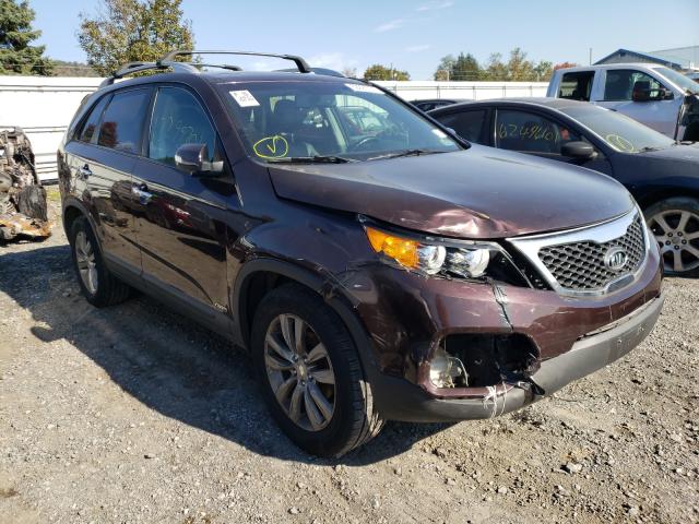 KIA SORENTO EX 2011 5xykuda26bg001784