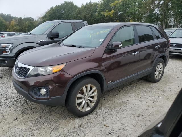 KIA SORENTO EX 2011 5xykuda26bg003373