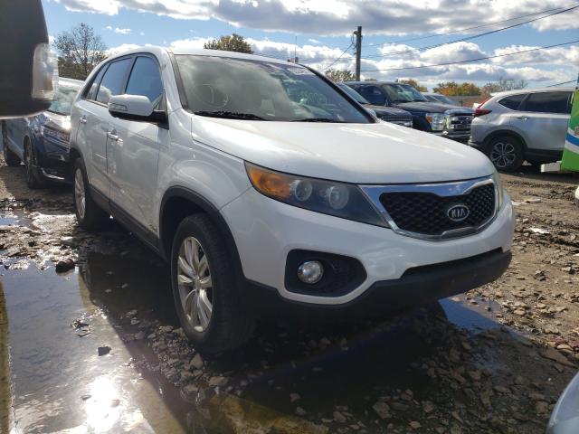 KIA SORENTO EX 2011 5xykuda26bg014700