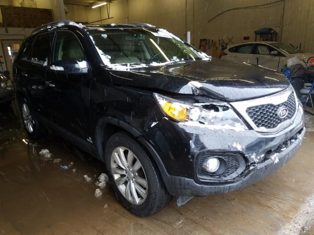 KIA SORENTO EX 2011 5xykuda26bg043503