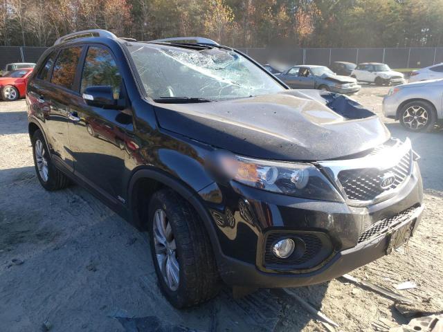 KIA SORENTO EX 2011 5xykuda26bg046353