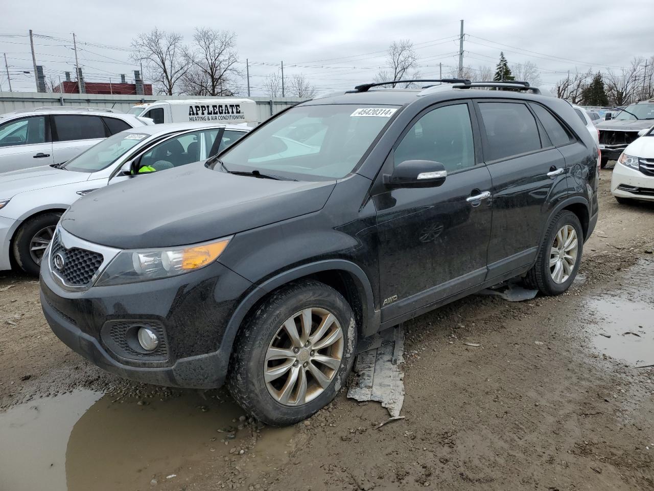 KIA SORENTO 2011 5xykuda26bg059846