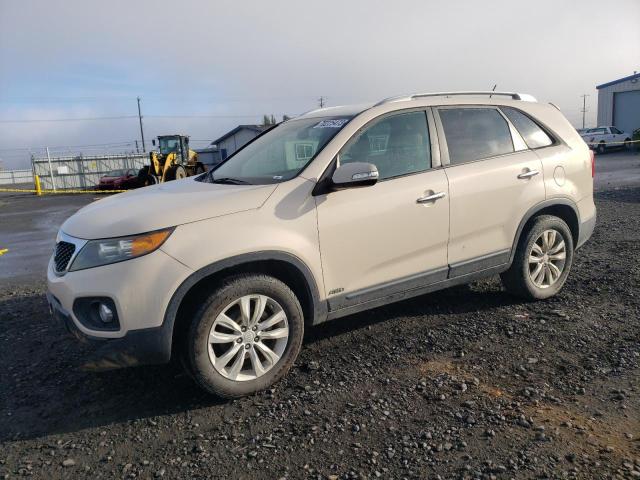 KIA SORENTO 2011 5xykuda26bg086691