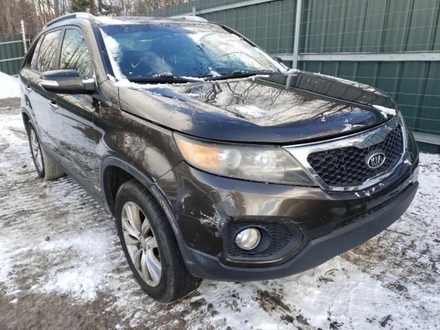 KIA SORENTO EX 2011 5xykuda26bg133489