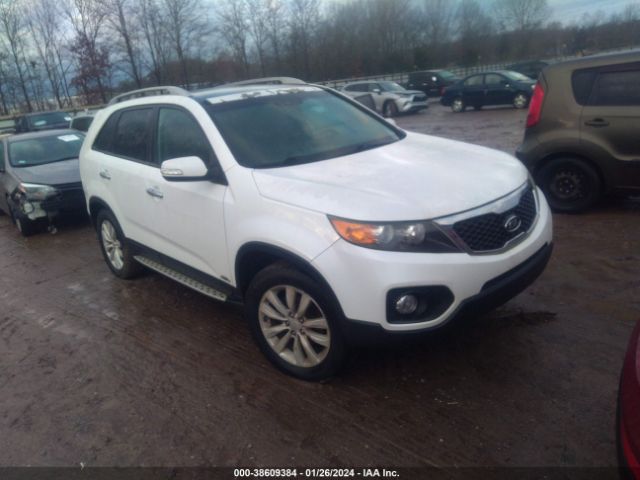 KIA SORENTO 2011 5xykuda26bg162913