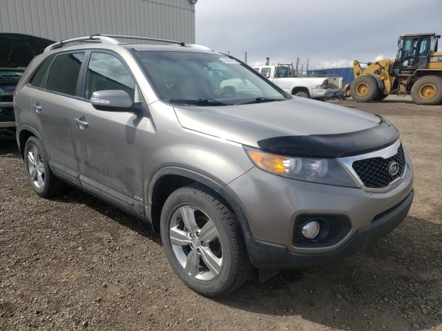 KIA SORENTO EX 2012 5xykuda26cg273639