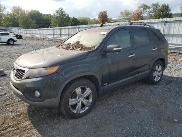 KIA SORENTO EX 2013 5xykuda26dg374827