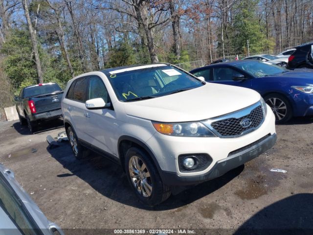 KIA SORENTO 2011 5xykuda27bg031277