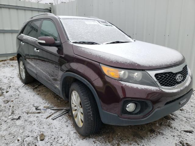 KIA SORENTO EX 2011 5xykuda27bg103952