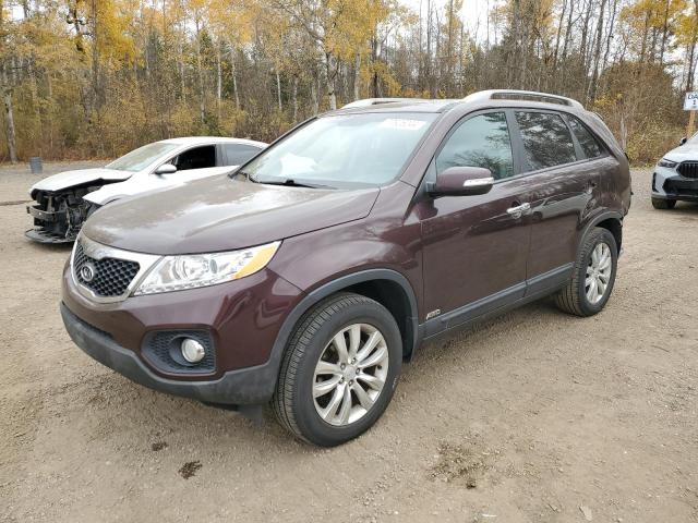 KIA SORENTO EX 2011 5xykuda27bg144789