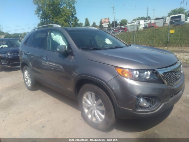 KIA SORENTO 2011 5xykuda27bg150818