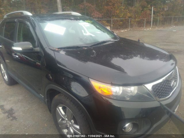 KIA SORENTO 2013 5xykuda27dg356093