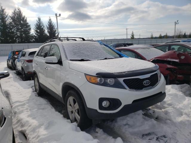 KIA SORENTO EX 2013 5xykuda27dg369524