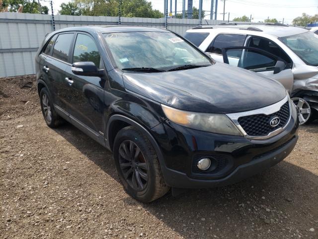 KIA SORENTO EX 2011 5xykuda28bg003956