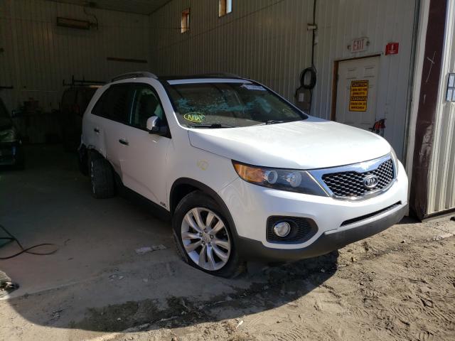 KIA SORENTO EX 2011 5xykuda28bg013385