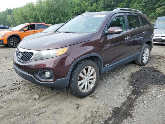 KIA SORENTO EX 2011 5xykuda28bg030915