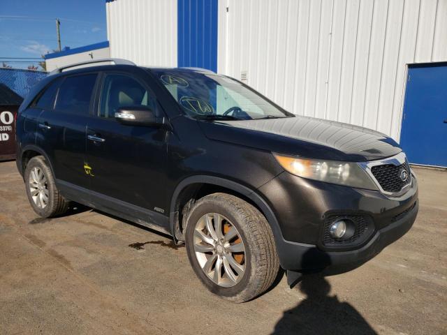 KIA SORENTO EX 2011 5xykuda28bg038772