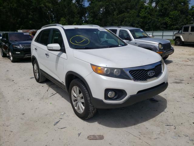 KIA SORENTO EX 2011 5xykuda28bg055412